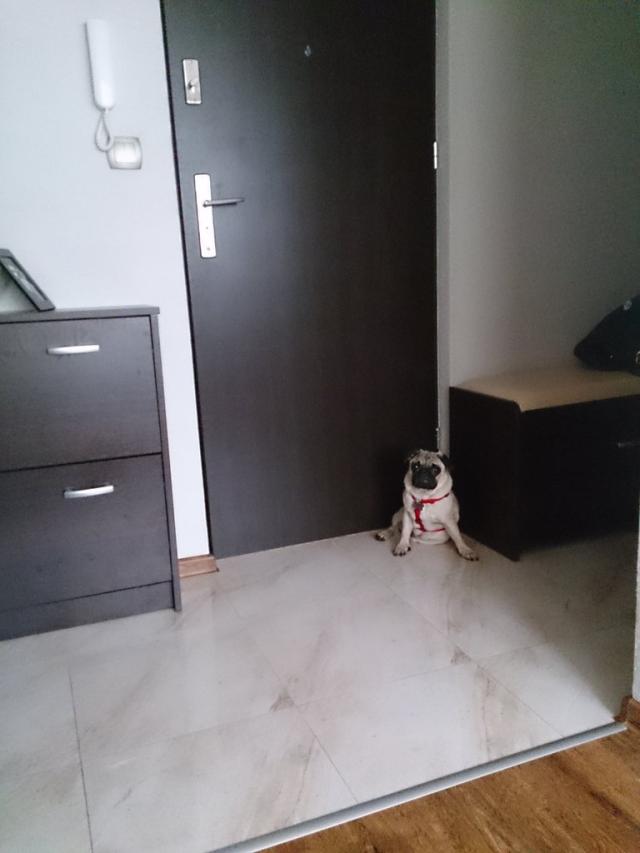 Nudz si ! wyjd ze mn ! ;p
