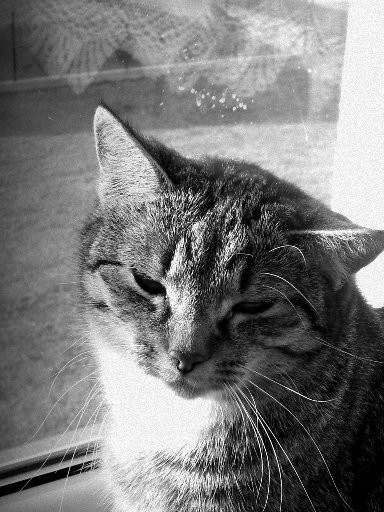 Helenka ;*