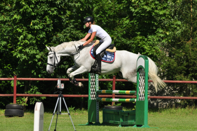 Wpis onlyhorse94