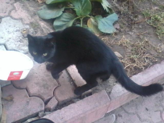 Takie tam :D