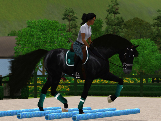 Wpis cavallosim12