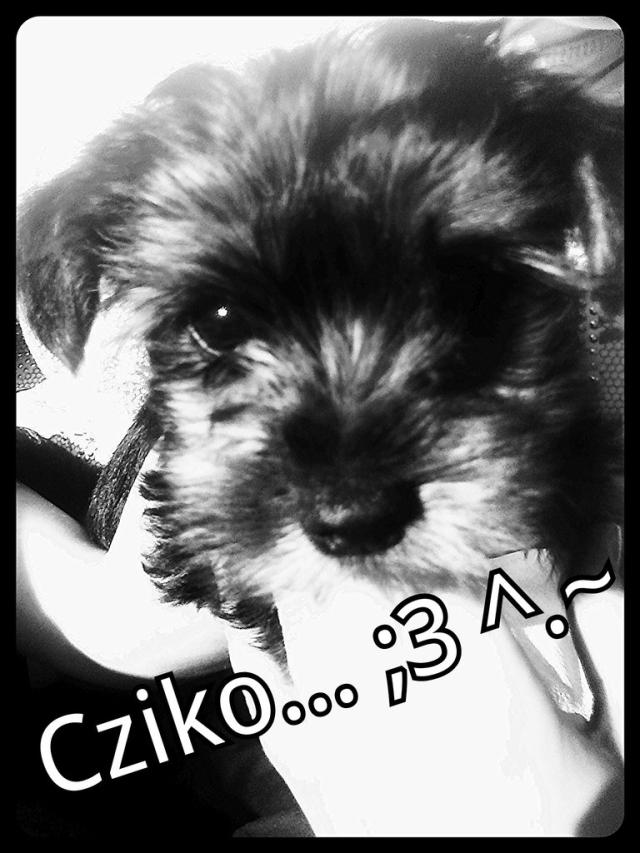 Takieee taaam xD