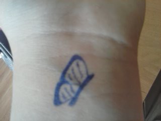 Buterflyy project.!