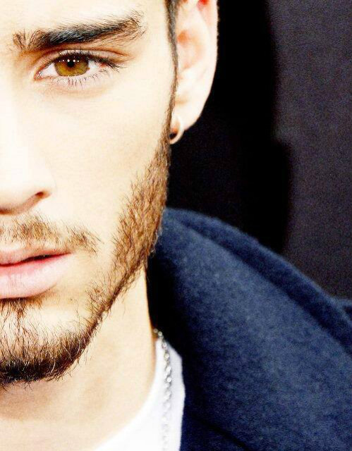 zayn