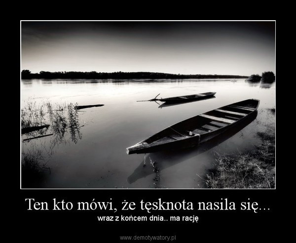 Wpis stray32