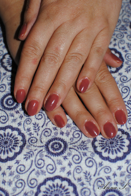 Wpis anianails