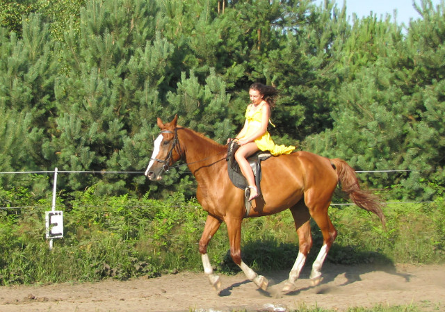 Na Koronce :) 