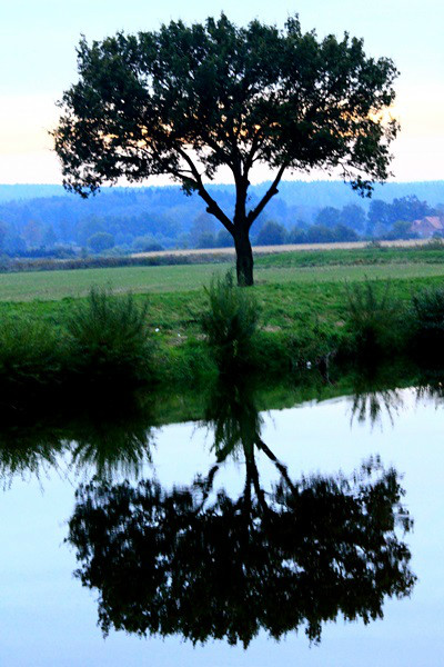 Wpis eos550d
