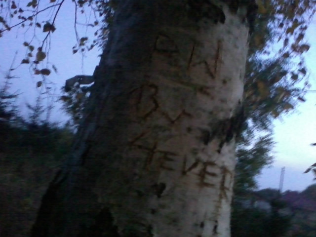 Pati i Wera