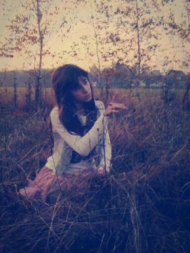 Wpis cookie1158