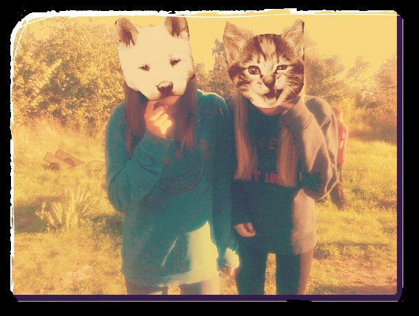 Wpis misiaooo3