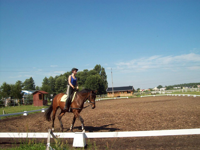 Wpis oliwka293