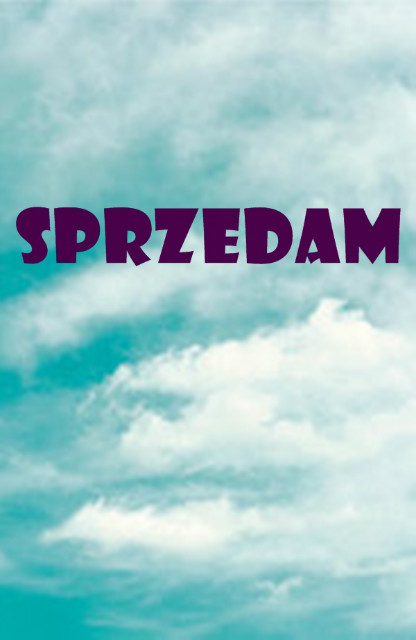 Wpis sprzedajerzeczy16