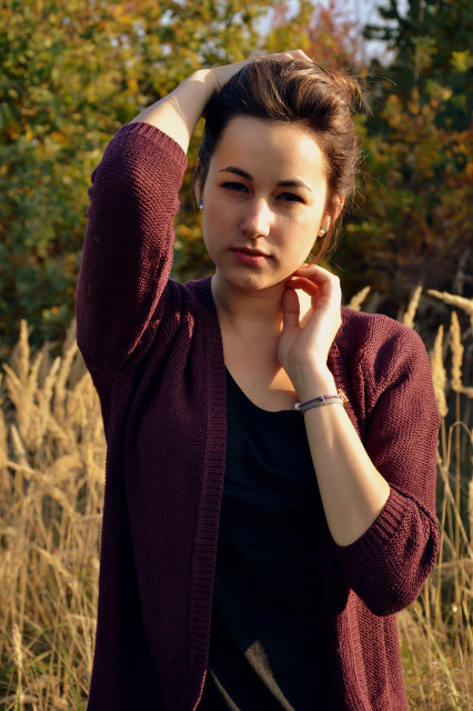 Wpis ulksulks