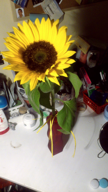 sunflower