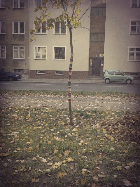 Wpis nadik10