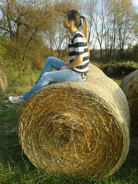 Wpis hohohoheha