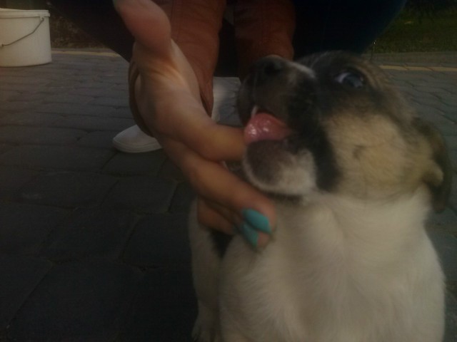 Wpis zapomnijotymcobyloo