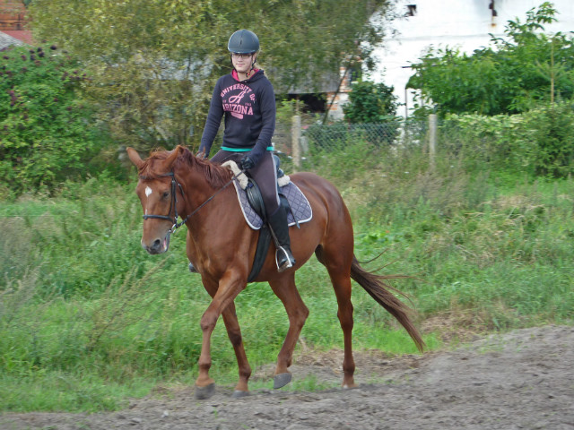 Ruda. 