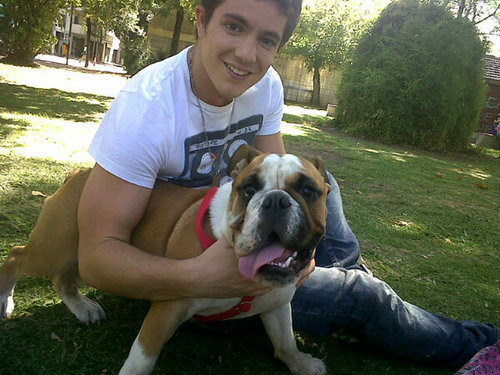 Jol jol