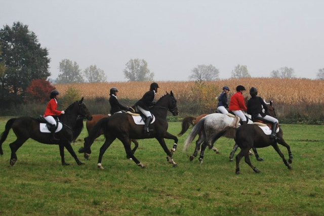 Hubertus :)
