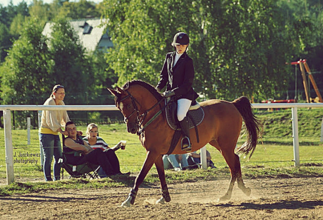 Wpis chevauxamour