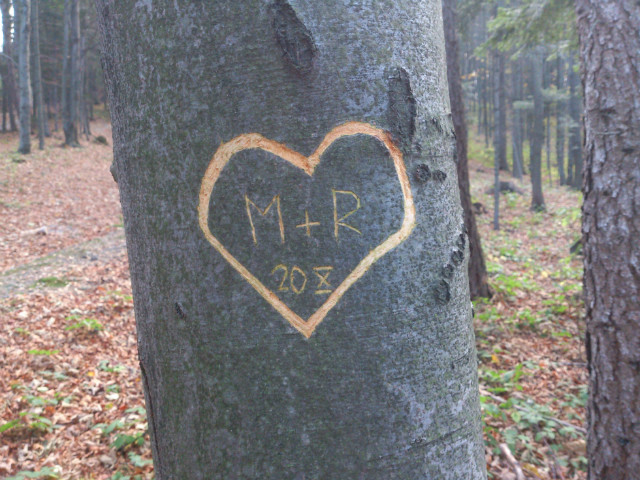 To cae moje ycie...