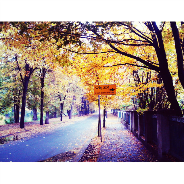 autumn