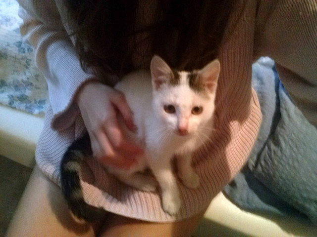 Pereka :)