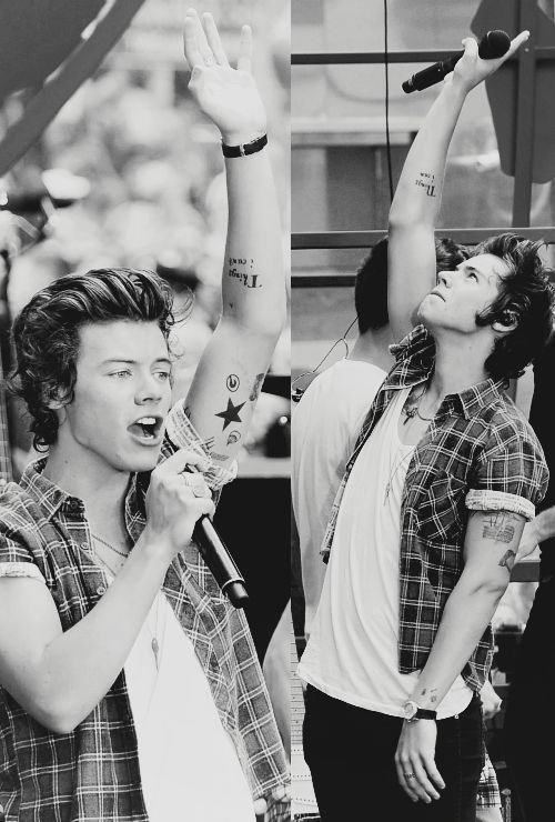 Styles aka perfekcja