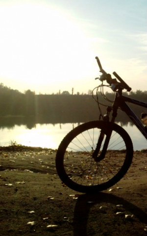 Wpis bikeboy