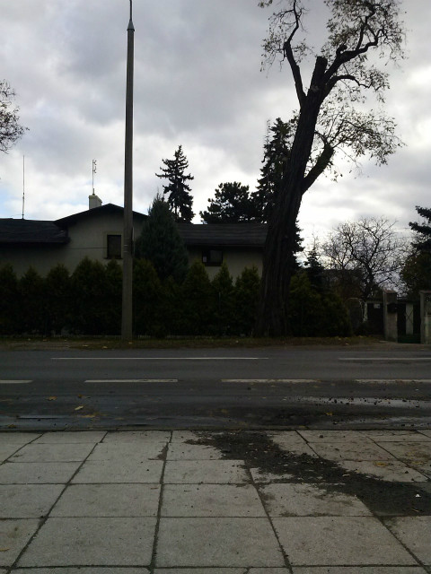 Wpis scelina