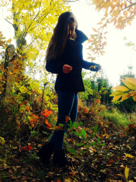 Wpis veeelsteln