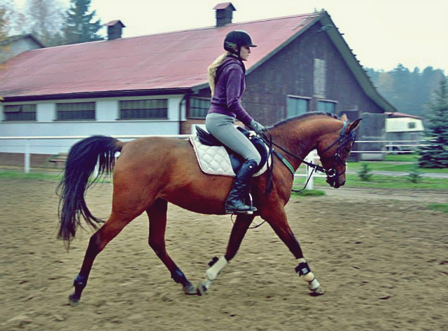 Wpis chevauxamour