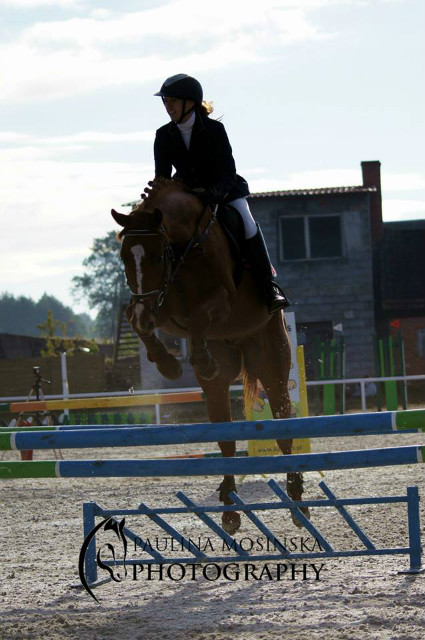 Kobylarnia 2013