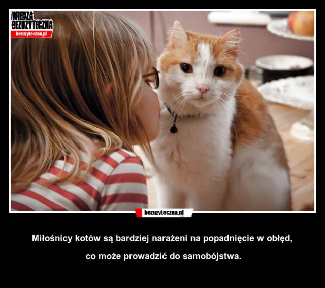 Wpis ajdaxd