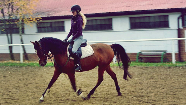 Wpis chevauxamour