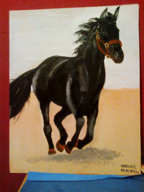 Konik 