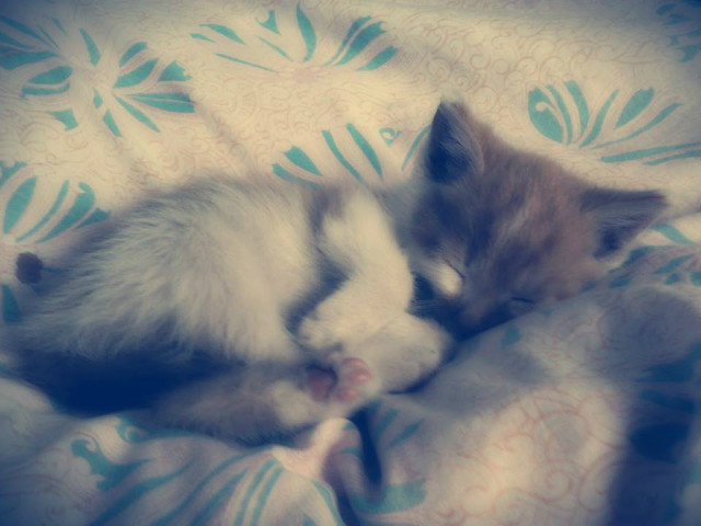 Wpis sylviaaaxxx