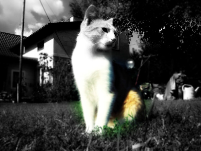 I znowu Garfield :D 