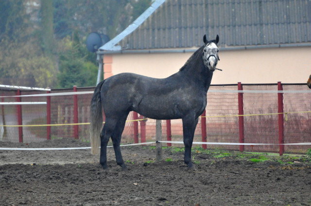 Wpis karciolex