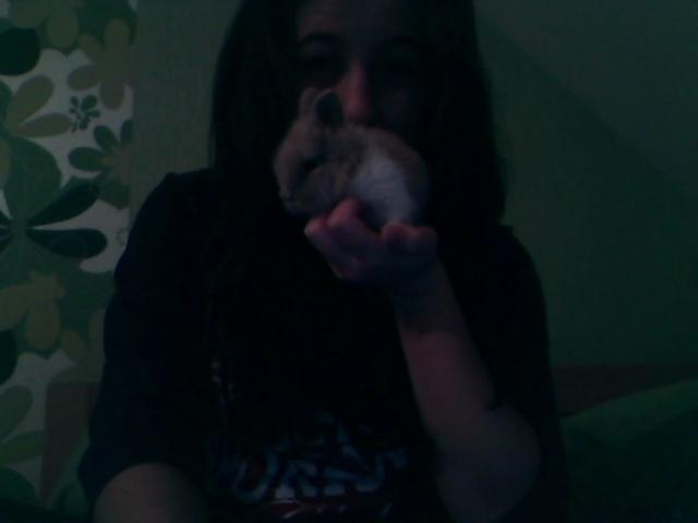 Wpis zetx