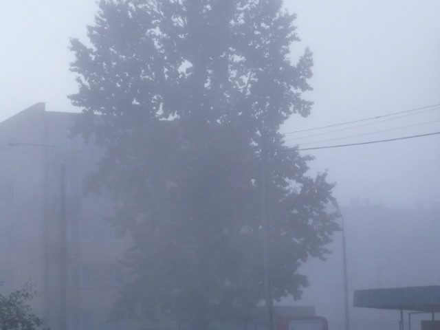 Wpis zbyszk015