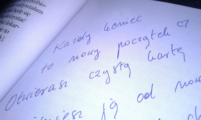 niegrzeczny kot