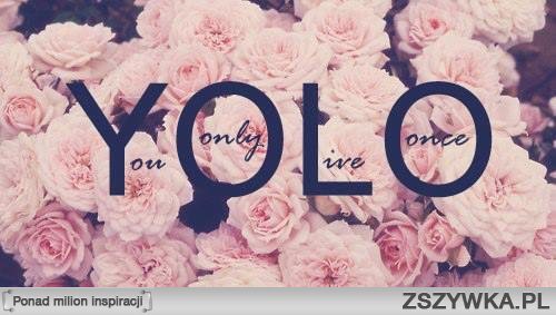 yolo