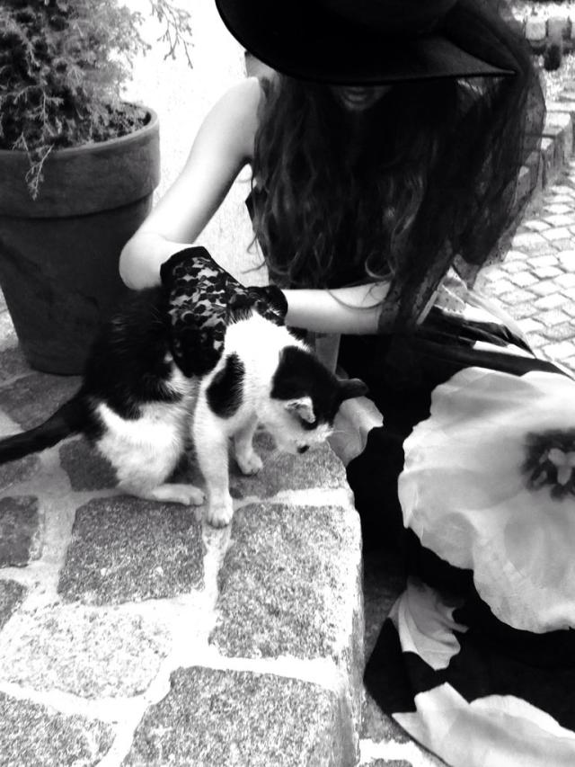 Wpis juliettx3
