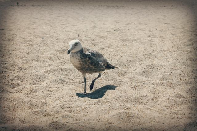 1551
