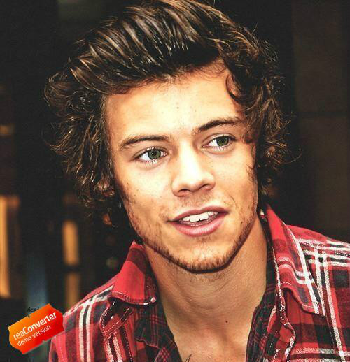 Wpis yesthisisdog