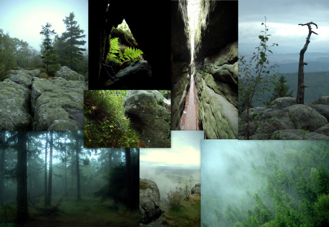 Skamieliny