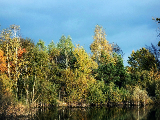Uspokajajcy widok 